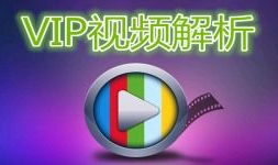 vip视频,揭秘热门视频背后的精彩故事