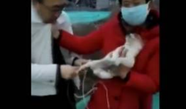 虐乳视频,黑暗心理的扭曲展现